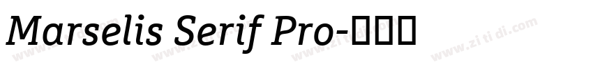 Marselis Serif Pro字体转换